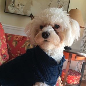 Meet your Posher, Emma